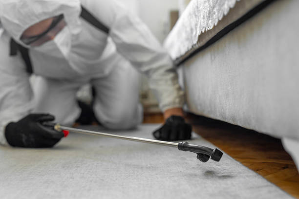 Professional Ant Control technician working in Warren Park, IN
