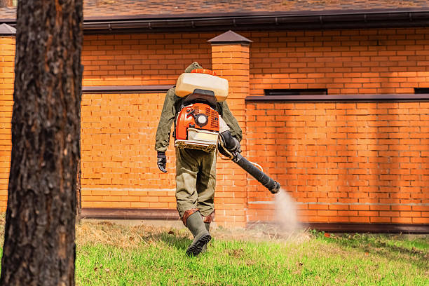 Top rated local Ant Control specialists in Warren Park, IN
